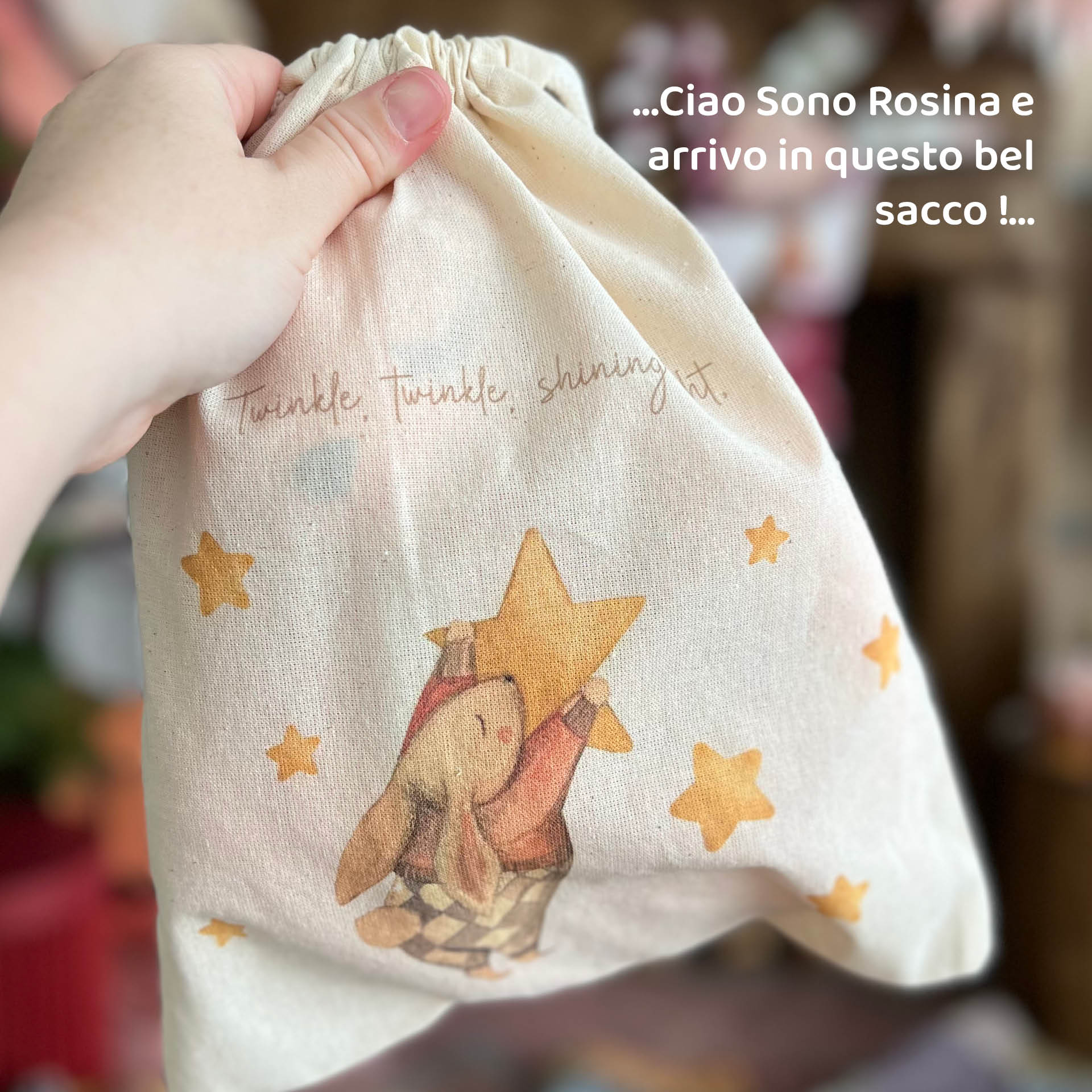 PROMO LIBRO DI NATALE + PUPAZZO | pupazzo di Natale 2024 | Regalo perfetto per Natale (copia) (copia) - Peekaboo