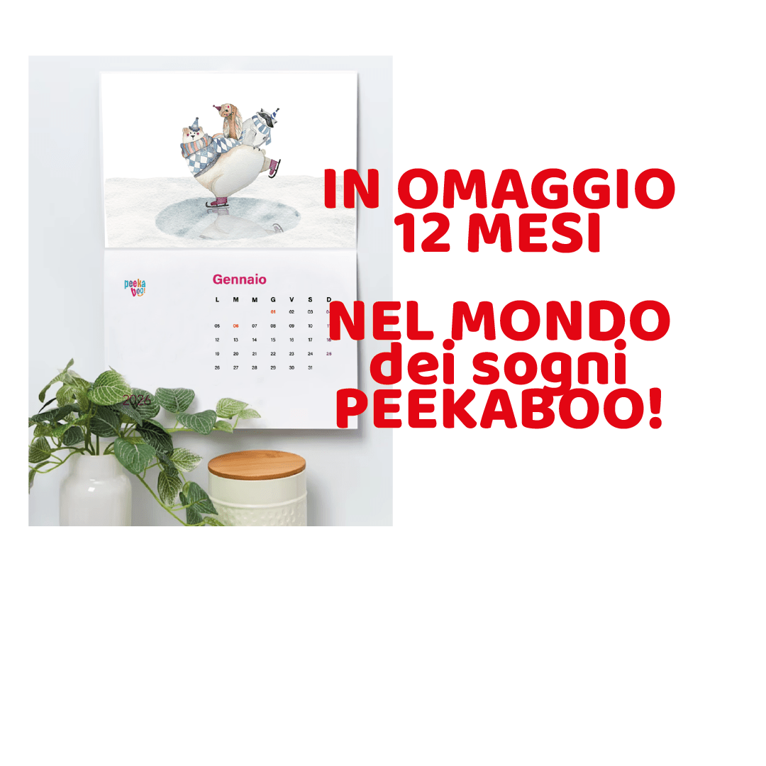 SUPER PROMO BLACKFRIDAY !| Libro di Natale + omaggio il calendario 2026| Regalo perfetto per Natale - Peekaboo