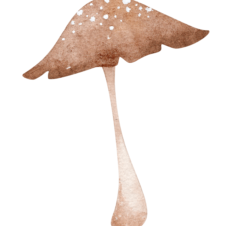 set de Mariage Personalizzato - Peekaboo