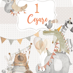 ANIMAL PARTY triplo da terra | Decorazione festa di compleanno | Party planner - Peekaboo